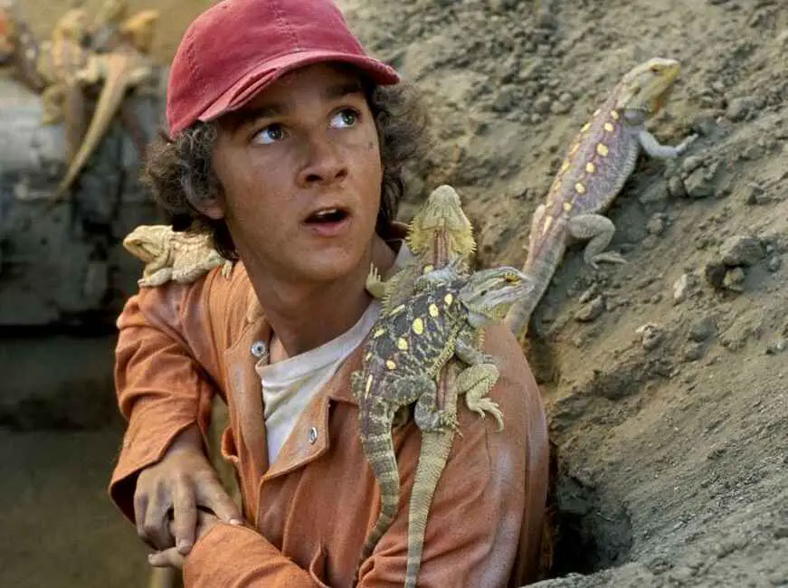 "Holes" to be Reimagined as a Disney+ Series. It is is about a boy named Stanley Yelnats.